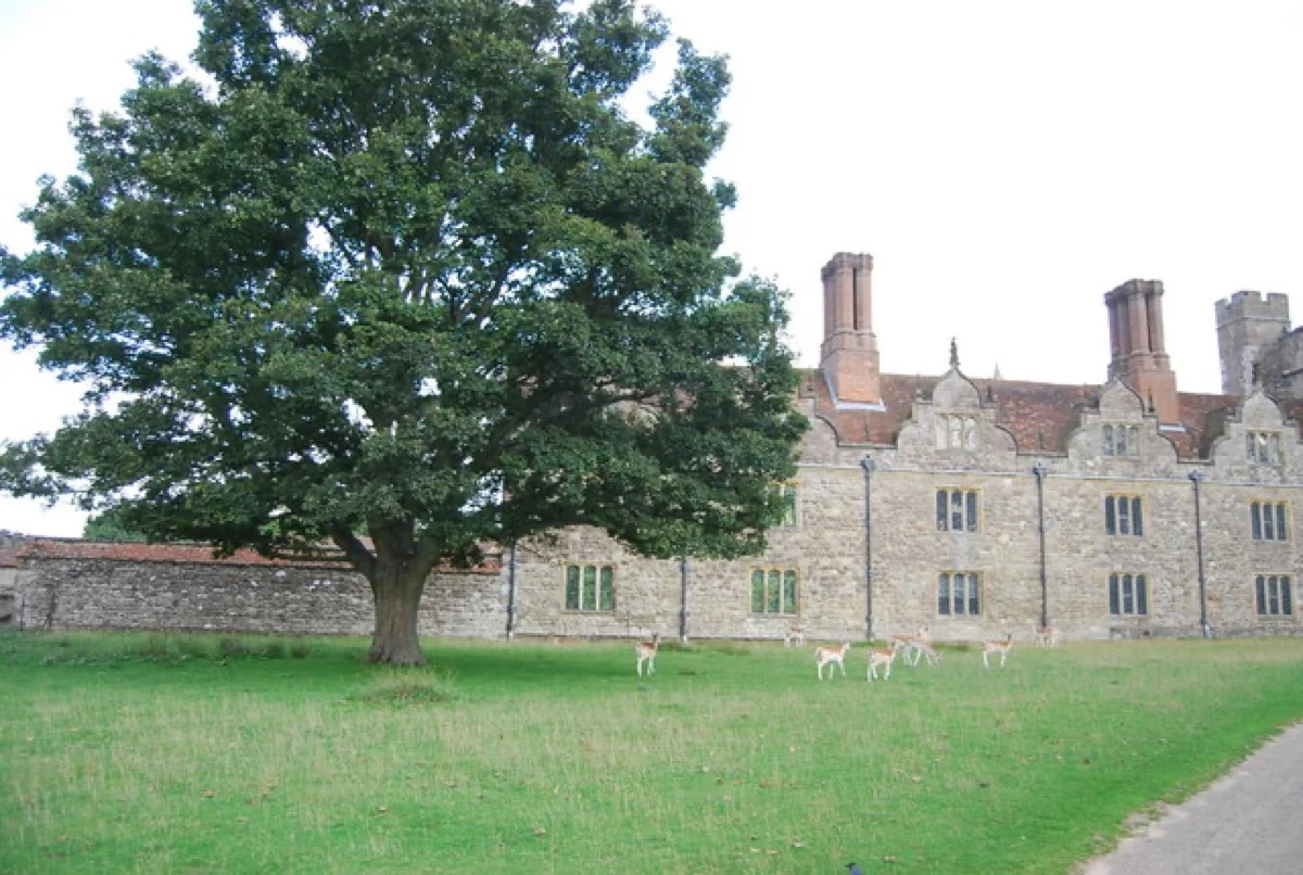 Rotwild vor der Fassade von Knole House, Sevenoaks, Kent